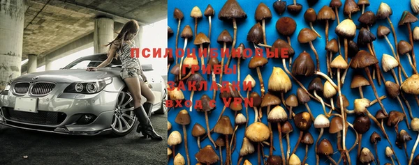 прущая мука Магадан
