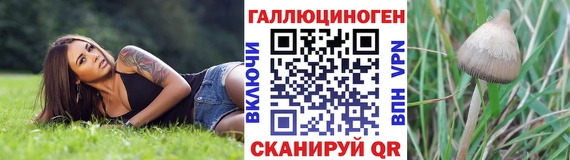 Псилоцибиновые грибы Psilocybe  Усинск 