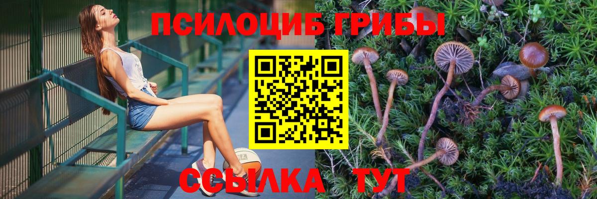 Галлюциногенные грибы мицелий  Псилоцибиновые грибы мухоморы  Вход с VPN  Усинск 